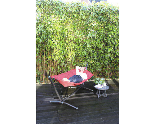 Frau entspannt in einer Hängematte im Garten