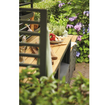 Gartenszene mit Außenküche, inklusive Zutaten