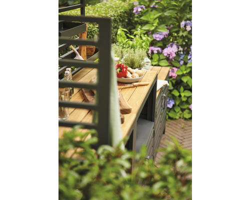 Gartenszene mit Außenküche, inklusive Zutaten