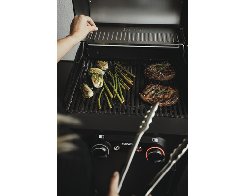 Gasgrill mit Gemüse und Fleisch auf dem Grillrost