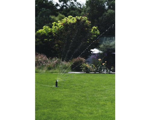 Rasensprenger bewässert Rasenfläche im Garten