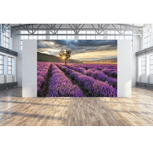 Großformatiges Wandbild mit einem Lavendelfeld bei Sonnenuntergang in einem hellen Raum.