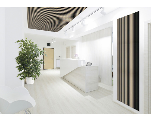 Heller Empfangsbereich mit Holzlamellendecke, weißer Rezeptionstheke und Zimmerpflanze.