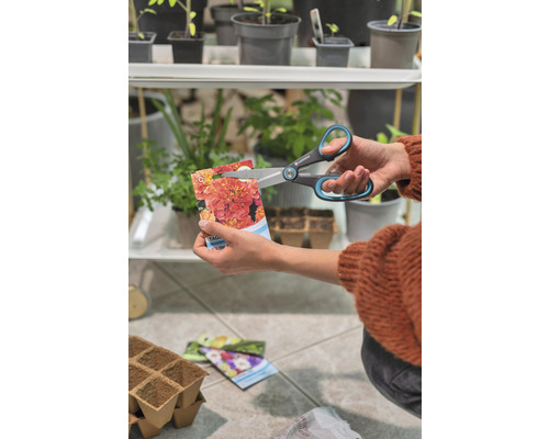 Eine Person schneidet eine Tütchen Ringelblumensamen mit einer Schere auf.