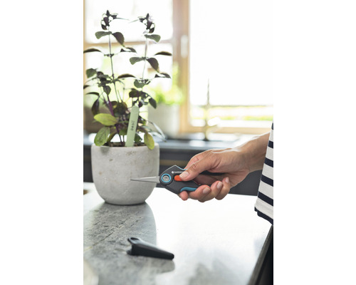 Hand hält Gartenschere neben Basilikumpflanze im Topf