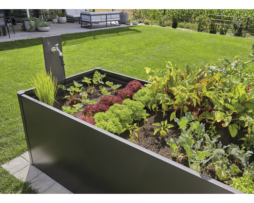 Hochbeet mit verschiedenen Gemüsesorten und Wasserhahn im Garten.