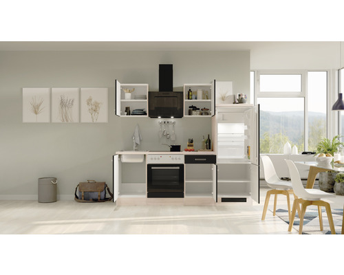 Komplette Küche mit Spüle, Herd, Dunstabzugshaube und Kühlschrank in einem hellen Raum