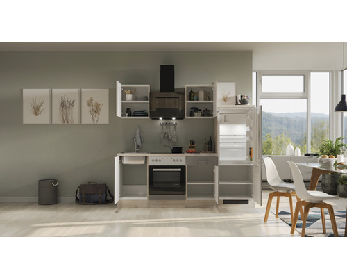 Komplette Küche mit Küchenschränken, Spüle, Herd, Backofen, Dunstabzugshaube und Kühlschrank in einem hellen Raum