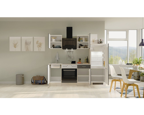 Komplette Küchenzeile mit Spüle, Herd, Backofen, Dunstabzugshaube und Kühlschrank in einer hellen, modernen Küche.