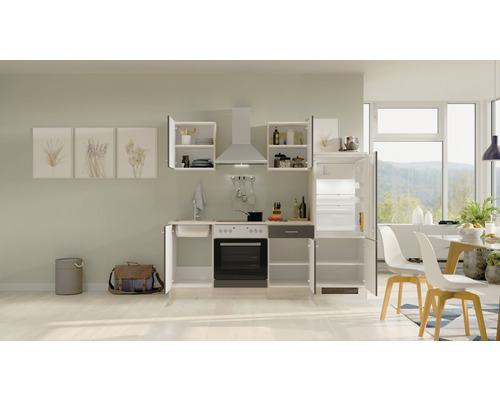 Moderne Küche mit Spüle, Herd, Ofen, Dunstabzugshaube, Kühlschrank und Hängeschränken in einem hellen Raum.