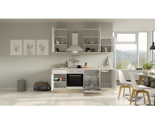 Küchenzeile mit Spülmaschine, Herd, Dunstabzugshaube und Hängeschränken in einer hellen Küche.