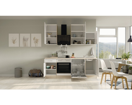 Küchenzeile mit Hängeschränken, Spüle, Geschirrspüler und Elektrogeräten