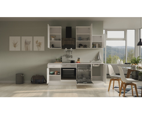 Helle Küche mit Küchenschränken, Dunstabzugshaube, Spüle, Geschirrspüler und Elektroherd