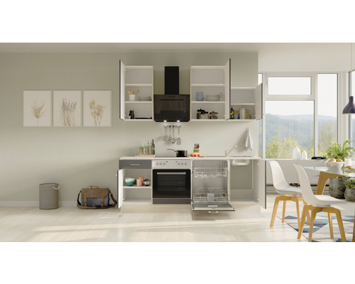 Moderne Küche mit Geschirrspüler, Herd, Dunstabzugshaube und Hängeschränken.