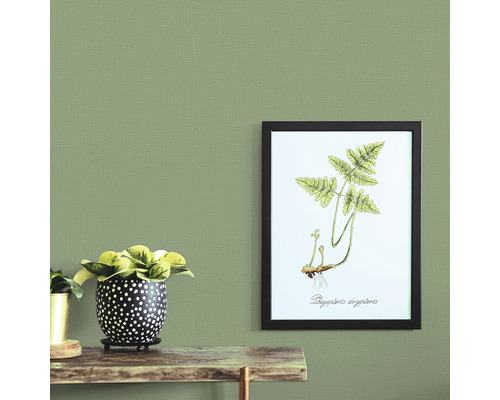 Szene mit Pflanze im Topf und gerahmtem Pflanzenbild an der Wand