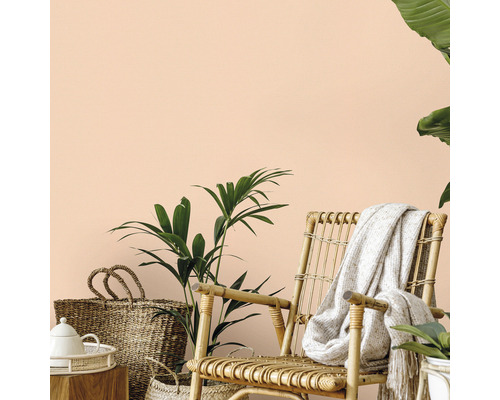 Dekoratives Wohnambiente mit Rattansessel und Zimmerpflanzen vor einer Wand