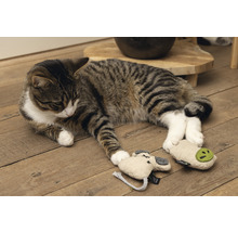 Getigerte Katze liegt mit Katzenspielzeug auf Holzboden