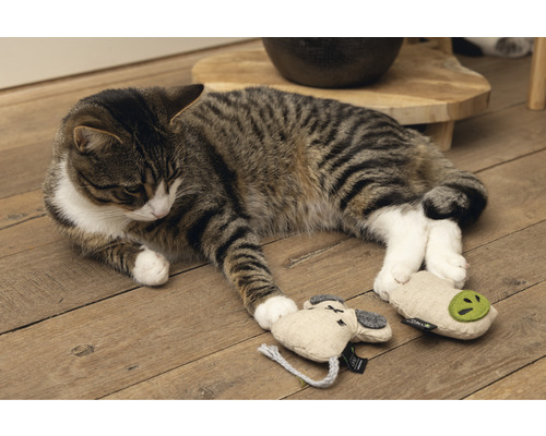 Getigerte Katze liegt mit Katzenspielzeug auf Holzboden