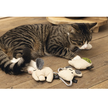 Katze spielt mit Katzenspielzeug auf Holzboden