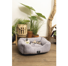 Graues Tierbett mit Spielzeugmäusen vor Pflanzen
