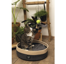 Katze in einem runden Katzenbett aus Seil mit Spielzeug und Pflanzen im Hintergrund