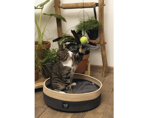 Katze in einem runden Katzenbett aus Seil mit Spielzeug und Pflanzen im Hintergrund