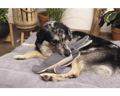 Hund liegt auf einem Hundebett und spielt mit einem Stofftierhasen