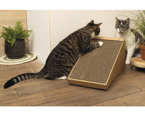 Katze benutzt einen Kratzbaum aus Karton
