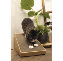 Katze kratzt an einem Kratzbrett aus Wellpappe.