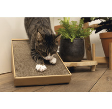 Katze kratzt an einer Kratzrampe aus Karton