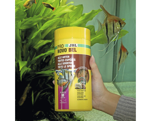 JBL NovoBel Fischfutter Dose im Aquarium