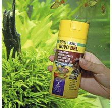JBL Novo Bel Fischfutter Dose für alle Fischarten