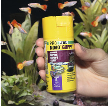 JBL Pro Novo Guppy Fischfutter Dose in der Hand vor Aquarium