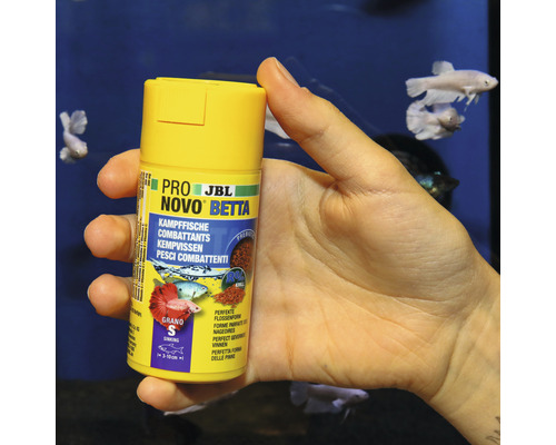JBL Novo Betta Kampffischfutter in gelber Verpackung
