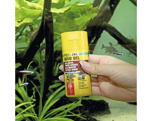 Person hält Dose JBL Pro Novo Bel Fischfutter vor Aquarium