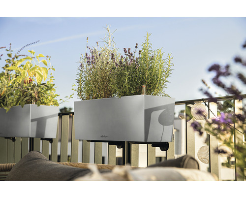 Balkonszene mit Kräutern und Pflanzen in einem grauen Blumenkasten mit Halterung