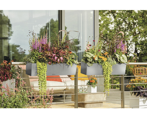 Zwei graue Pflanzkästen am Balkongeländer mit verschiedenen Blumen und Pflanzen.