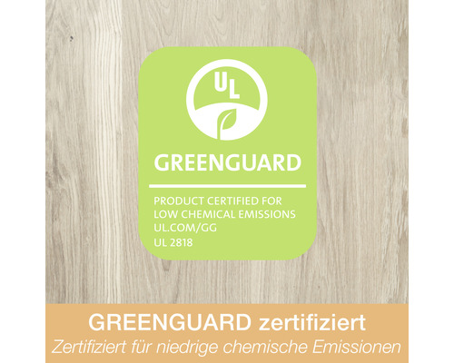 Greenguard Siegel für geringe chemische Emissionen