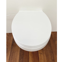 Aufnahme einer geschlossenen, weißen Toilette mit Spülkasten vor einer Wand und Holzboden