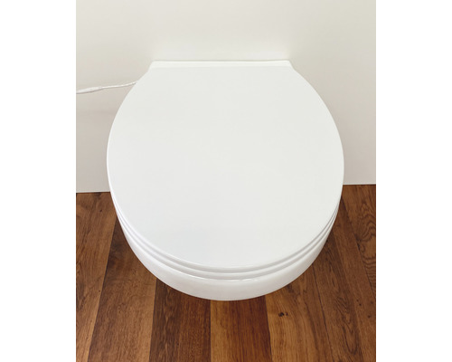 Aufnahme einer geschlossenen, weißen Toilette mit Spülkasten vor einer Wand und Holzboden