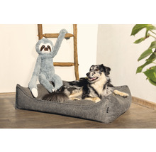 Hund im Hundebett mit Faultier Plüschtier