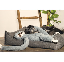 Hund liegt in einem grauen Hundebett mit einem Faultierkuscheltier.