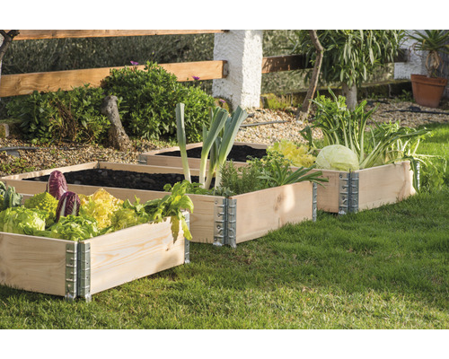 Hochbeete aus Holz mit verschiedenen Gemüsesorten in einem Garten.