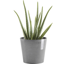 Pflanztopf Ecopots Amsterdam Mini Kunststoff Ø 17 cm H 14,9 cm grau
