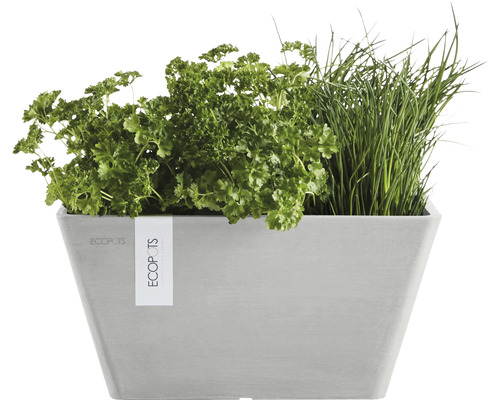 Ecopots Pflanzgefäß mit Kräutern