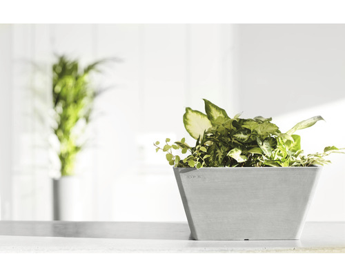 Quadratischer Pflanzkübel mit Grünpflanzen auf einer hellen Oberfläche