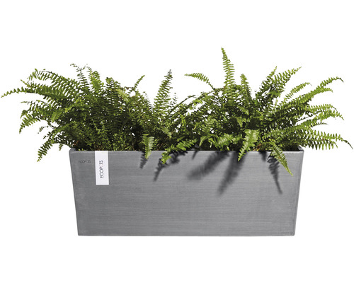Rechteckiger Pflanzkasten mit Farnen