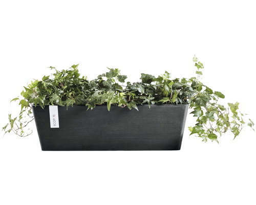 Rechteckiger Pflanzkasten mit Efeu