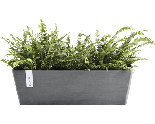 Rechteckiger Pflanzkasten mit Farn