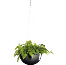 Hängeampel mit Farn